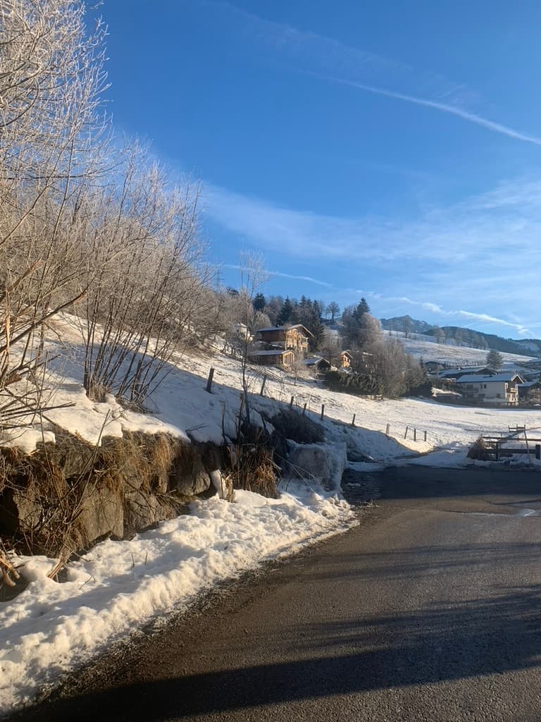 Chalets tegen de besneeuwde helling
