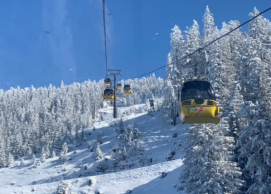 Gondel door de besneeuwde bossen