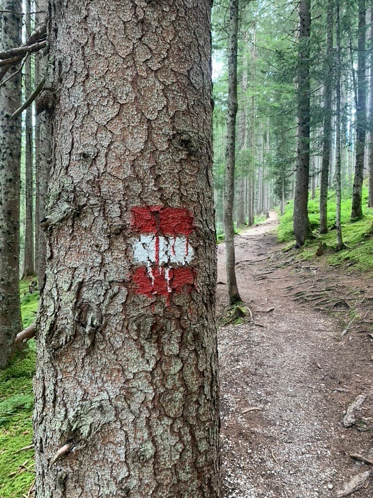 Rood-witte wegmarkering in het bos